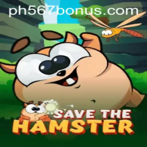 SavetheHamster: An Interactive Game Experience